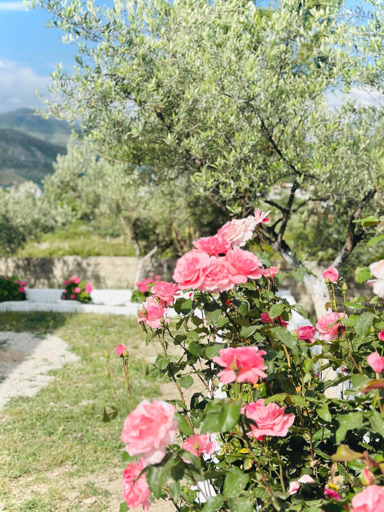 Cozy Village Casa vacanze *